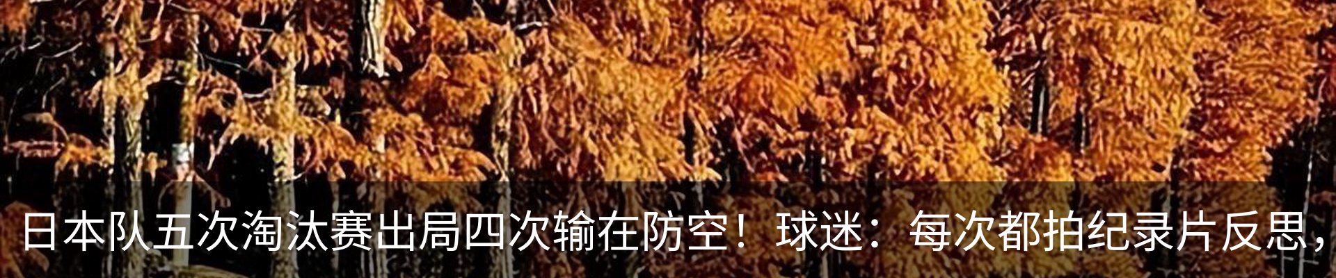行业资讯